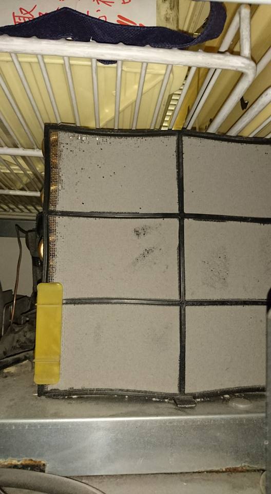 14716250_1240914349264419_1071180949944076083_n